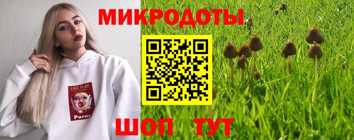 Псилоцибиновые грибы MAGIC MUSHROOMS Моздок