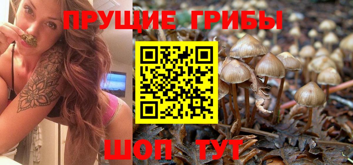 Псилоцибиновые грибы Cubensis  Вход с VPN  Псилоцибиновые грибы GOLDEN TEACHER  Моздок 